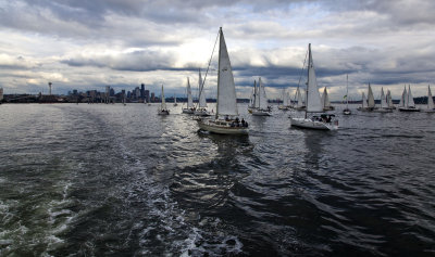 sailing boats on elliot bay