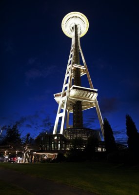 the space needle, night shot