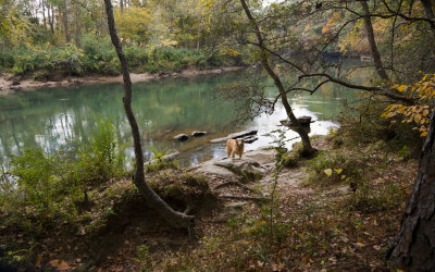 Maximus at the Chattahoochee - October 24, 2010