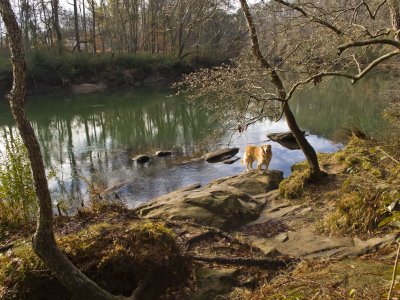 Maximus at the Chattahoochee - December 19, 2010