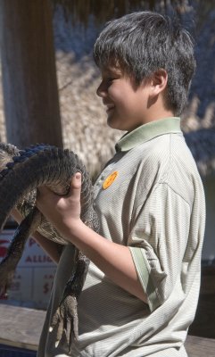 the florida everglades - 01/2008