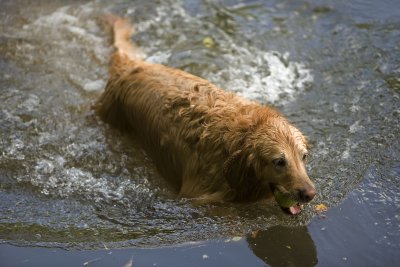 max (5 yrs) at the chattahoochee (5/2008)