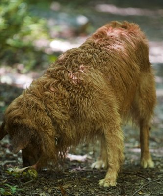 max (5 yrs) at the chattahoochee (5/2008)