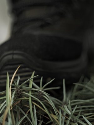 a close-up