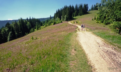 trail to Turbacz - highest peak of Gorce