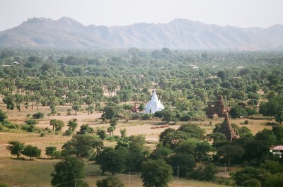 582 Bagan.jpg