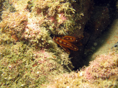 640IMG_1138al.jpg