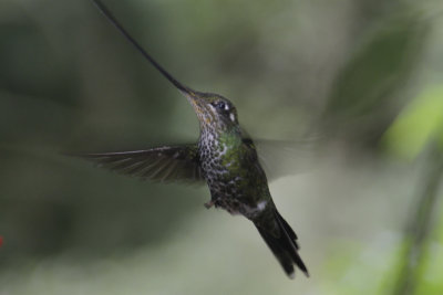 Ecuador