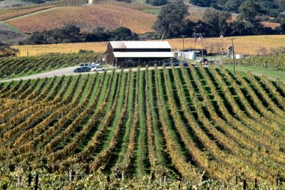 Napa Valley