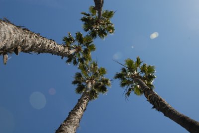 DSC_1385.JPG