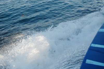 OceanWake.JPG