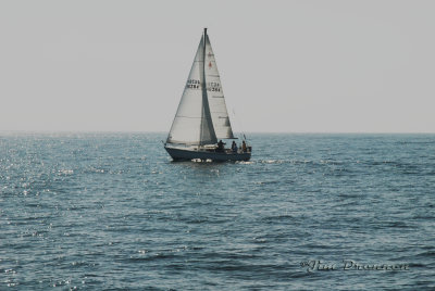 SailBoat.jpg