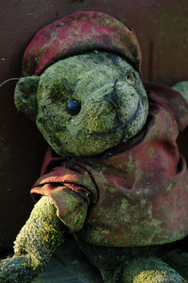 The happy story of Stinky, the one-eyed bear