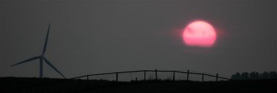 Sunny fence