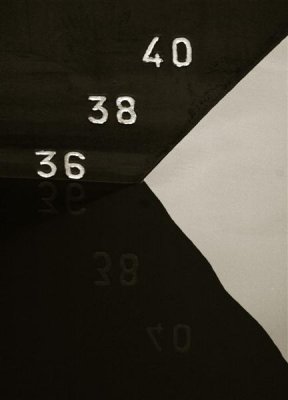 #36