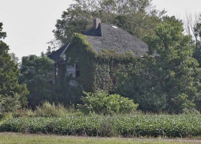 Tucker Plantation House  --  Summer