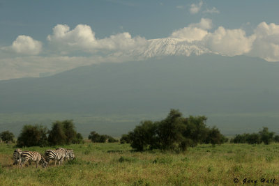 Mt. Kilimanjaro.jpg