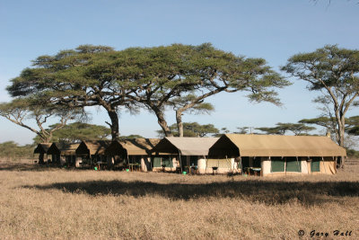 Ndutu Tented Camp 2 - Tanzania.jpg