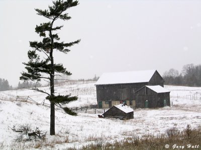 White Pine  Barn - Hwy 9_03-12-14_0.JPG