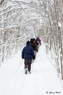 Winter Hike - Alton Side Trail - Caledon Hills 3.JPG