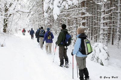 Winter Hike - Alton Side Trail - Caledon Hills 4.JPG