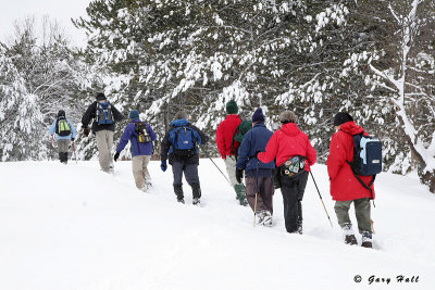 Winter Hike - Alton Side Trail - Caledon Hills 5.JPG