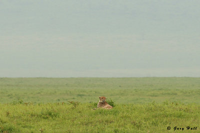 Ngorongoro Crater - Tanzania.jpg