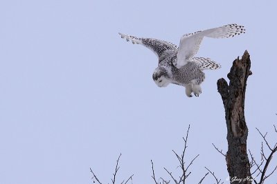g1/82/869282/3/109500793.tUSxwL36.jpg