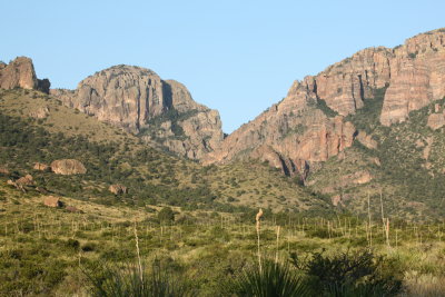 Pine Canyon in Big Bend National Park