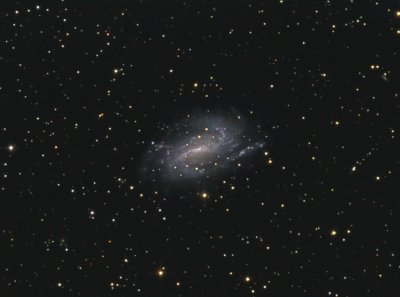 NGC 925