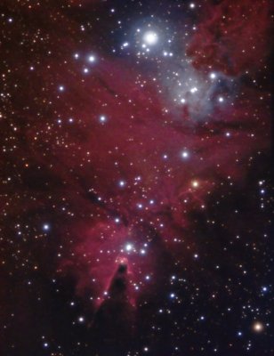 NGC 2264 (Sh2-273)