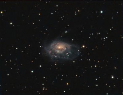 NGC 1961 (Arp 184)