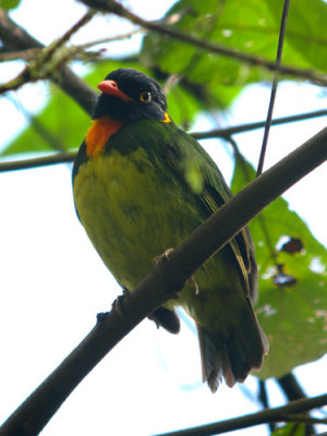 g1/82/894582/3/108648716.Tka8M5ke.jpg