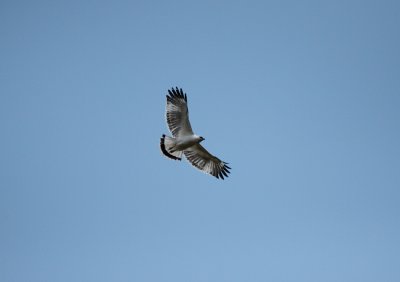 g1/82/894582/3/113572408.c8mM8y4N.jpg