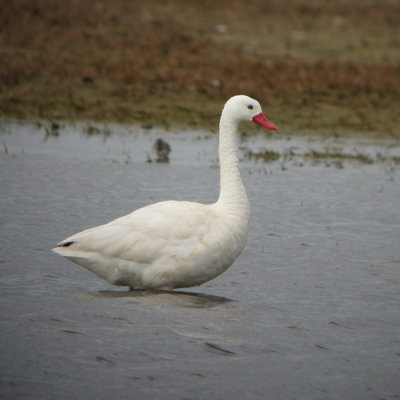 g1/82/894582/3/116734599.PGk8vDzJ.jpg