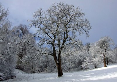 DSCF0881_800x563.JPG