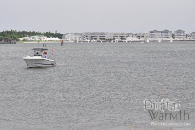 Cape May Harbor