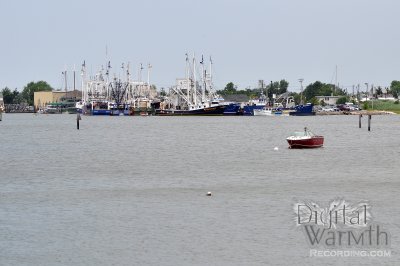 Cape May Harbor