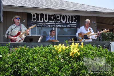 BlueBone @ Cape May Harbor Fest 2010