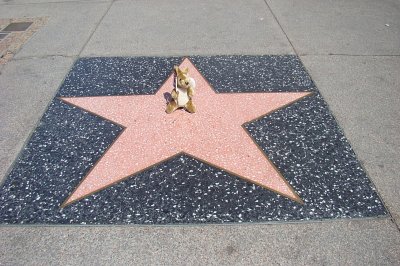 Dreaming of his star on the Walk of Fame in Hollywood
