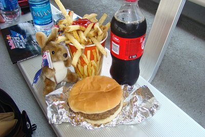 Eating a 'Brickyard Burger' and 'Track Fries' at the Brickyard