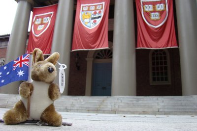 Ready to study at Harvard