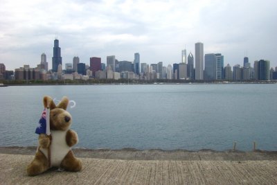 Kanga and the Chicago Skyline