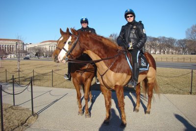 Friendly Mounted Police (with Kanga)