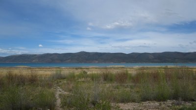 IMG_0240.jpg