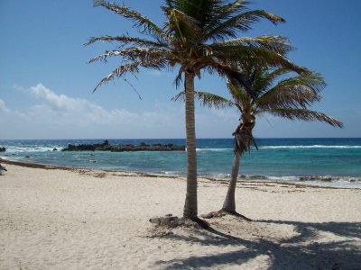 Cozumel 023.jpg