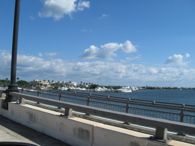 2010-silky 005.jpg