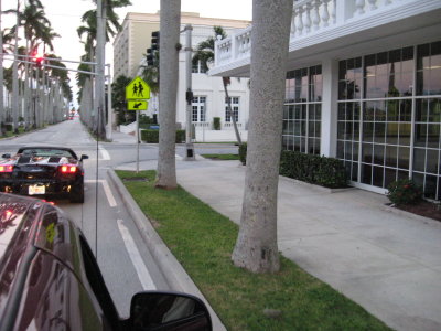 2010-silky 120.jpg