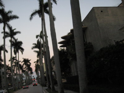 2010-silky 122.jpg