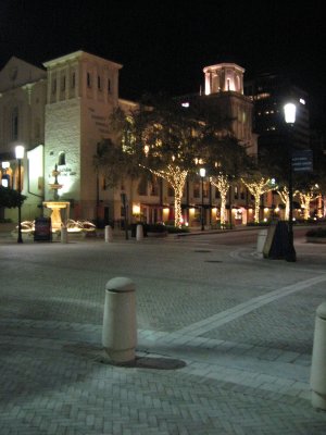 2010-silky 199.jpg